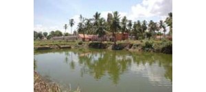 சதுர்வேதமங்கலம்